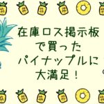 在庫ロス掲示板で買ったパイナップルに大満足!